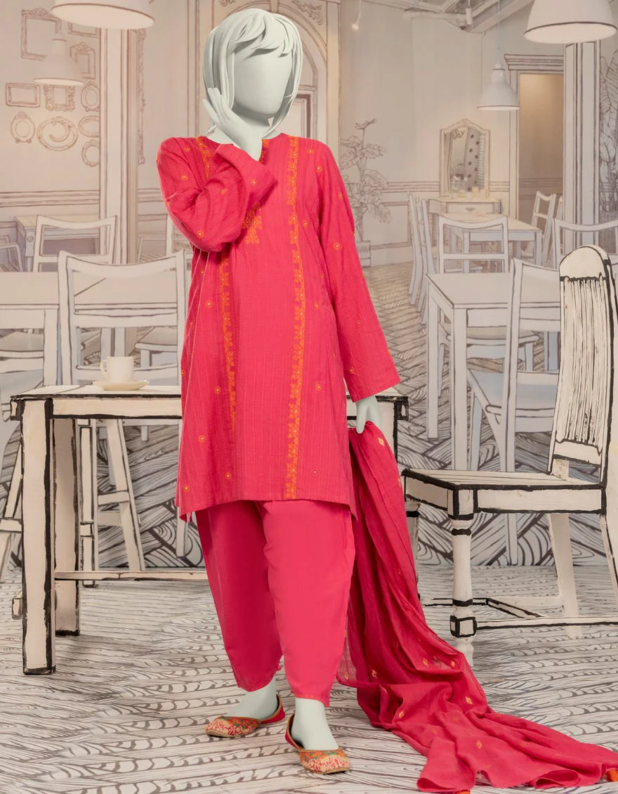 PINK TEXTURED 3PC STITCHED | JGK-W-YGTL-652-24 FB/DHANAK-4 - Image 3