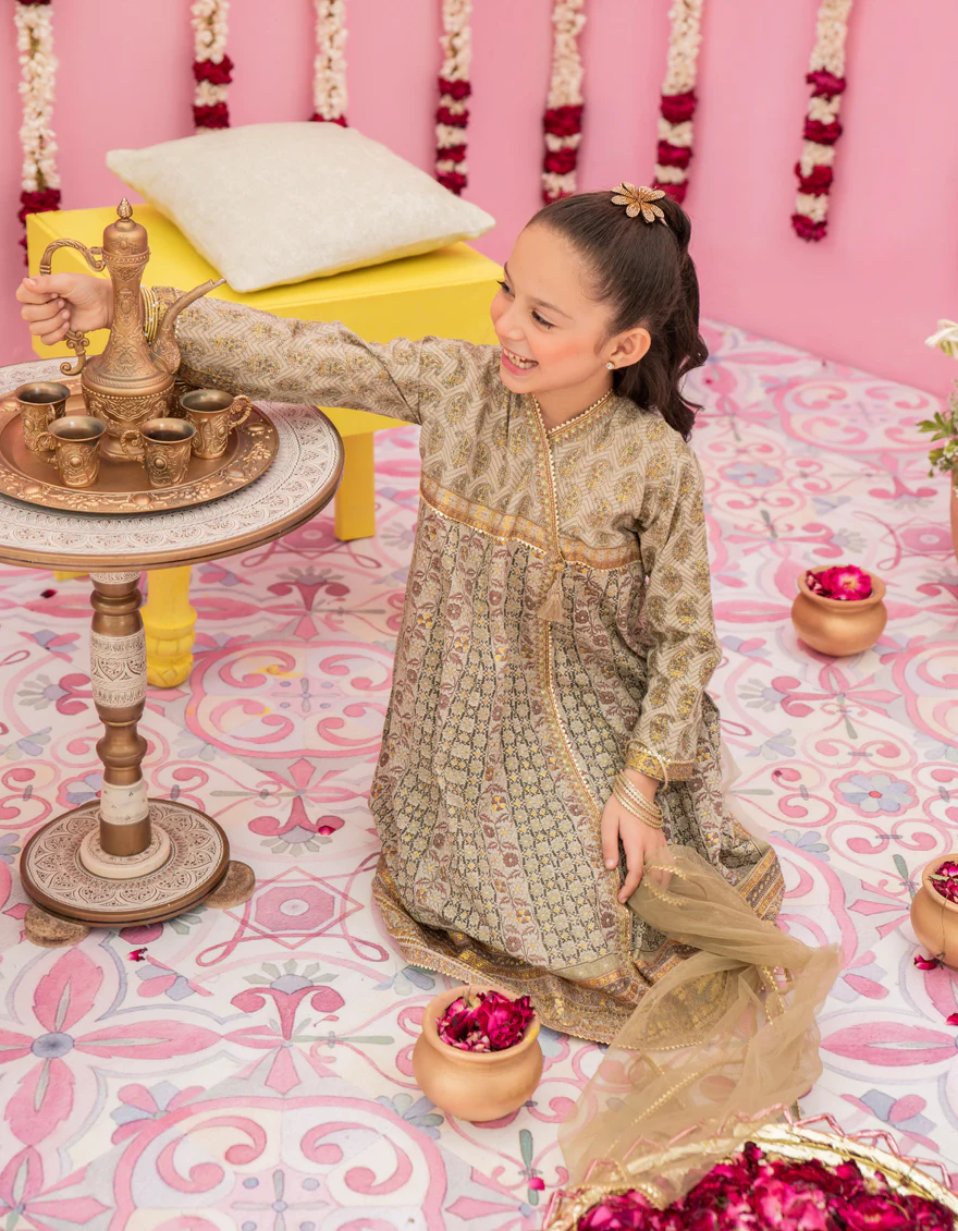 BROWN LAWN 3PC STITCHED | JGKL-S-24-1558 FB/RANI-G-B-2 - Image 4