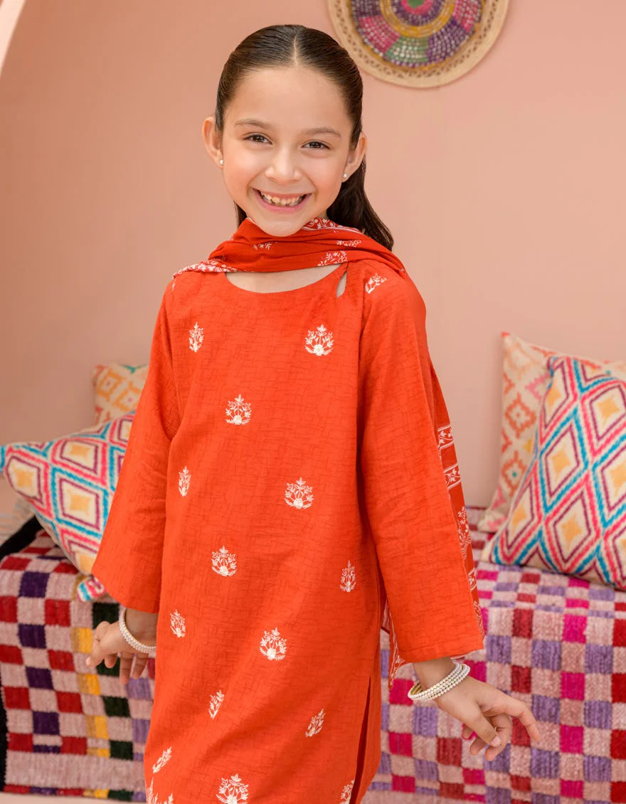 RED TEXTURED 3PC STITCHED | JGKL-S-24-1575 FB/CHAR BAGH-2 - Image 3