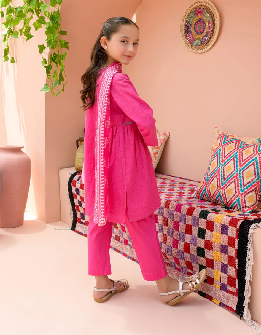 PINK TEXTURED 3PC STITCHED | JGKL-S-24-1576 FB/CHAR BAGH-3 - Image 2