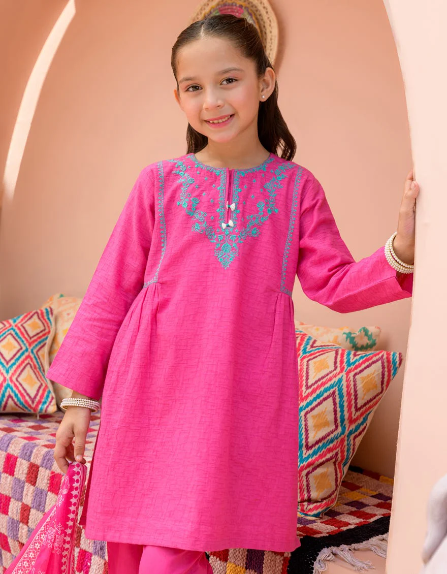 PINK TEXTURED 3PC STITCHED | JGKL-S-24-1576 FB/CHAR BAGH-3 - Image 3
