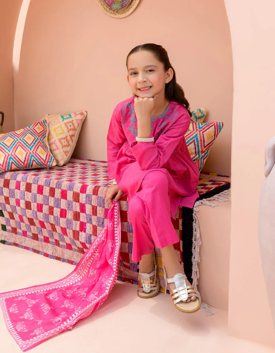 PINK TEXTURED 3PC STITCHED | JGKL-S-24-1576 FB/CHAR BAGH-3 - Image 4