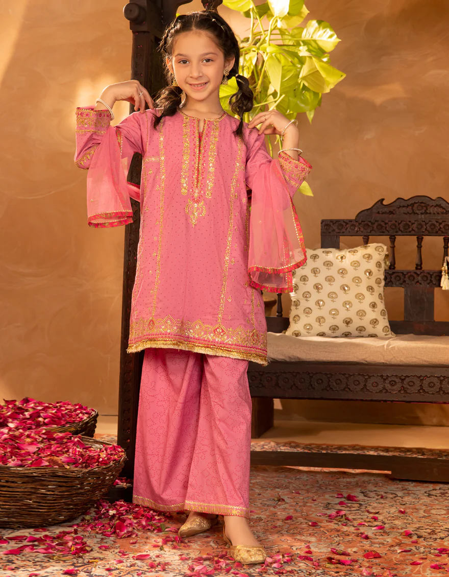 PINK LAWN 3PC STITCHED | JGKL-S-JGF-25-1902 FB/SHIREEN-02 - Image 3