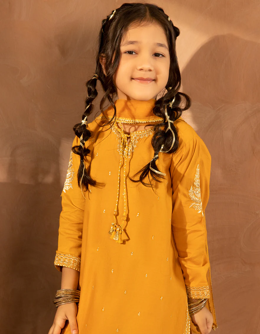 ORANGE LAWN 3PC STITCHED | JGKL-S-JGF-25-1905 FB/SHIREEN-5 - Image 2