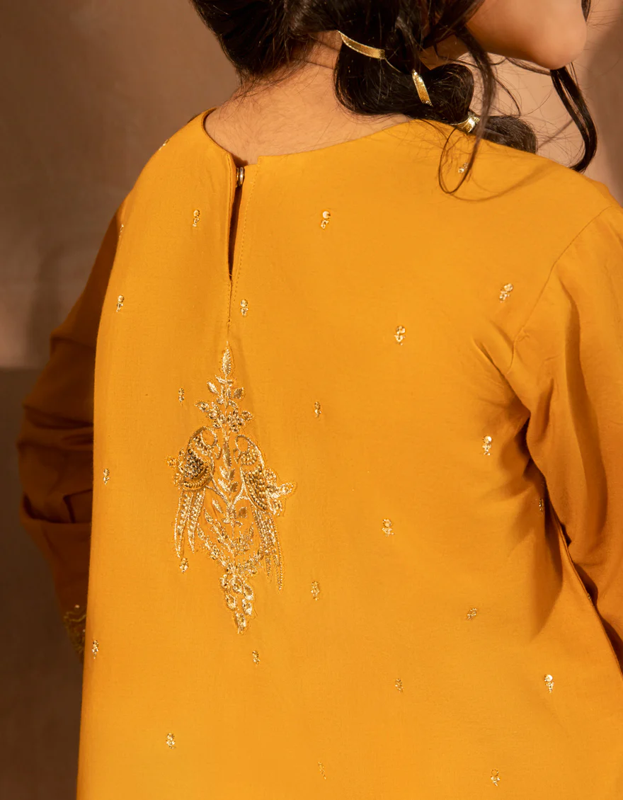 ORANGE LAWN 3PC STITCHED | JGKL-S-JGF-25-1905 FB/SHIREEN-5 - Image 3