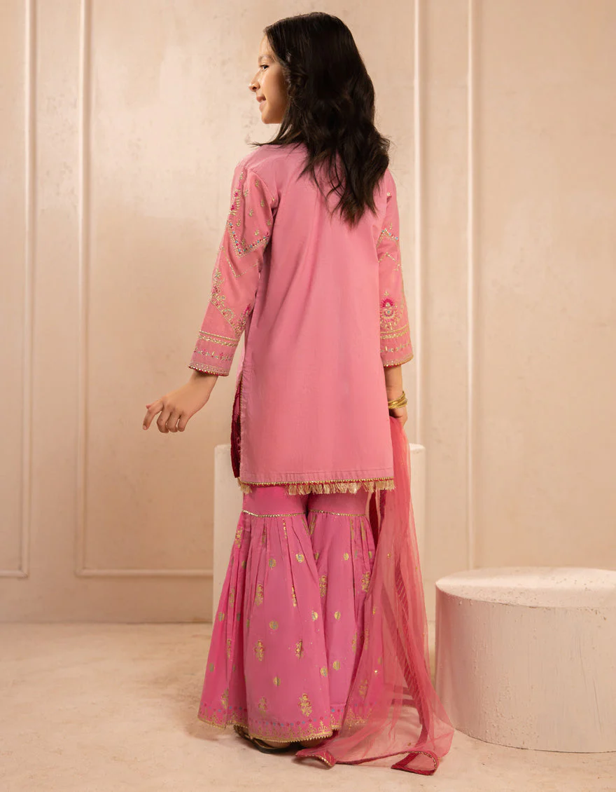 PINK SILK 3PC STITCHED | JGKL-S-JGF-25-1913 F - Image 2