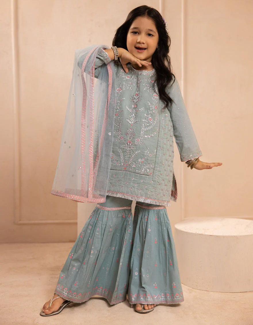 BLUE SILK 3PC STITCHED | JGKL-S-JGF-25-1914 F