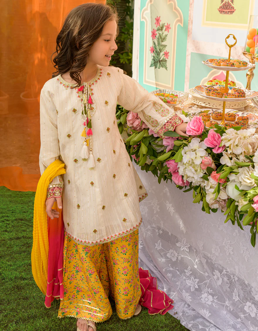 OFF WHITE CHIFFON 3PC STITCHED | JGKL-S-JJGF-US-23-003 FB/JR-003 - Image 3