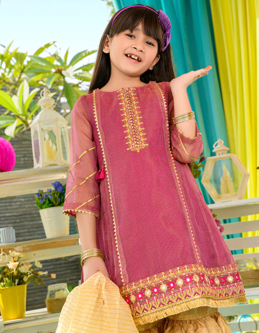 PLUM ZARI 3PC STITCHED | JGKL-S-JJGS-US-22-013 FB/FF-427 - Image 2