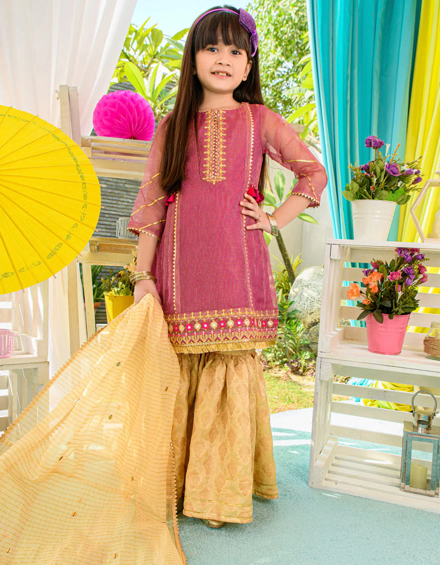 PLUM ZARI 3PC STITCHED | JGKL-S-JJGS-US-22-013 FB/FF-427 - Image 3