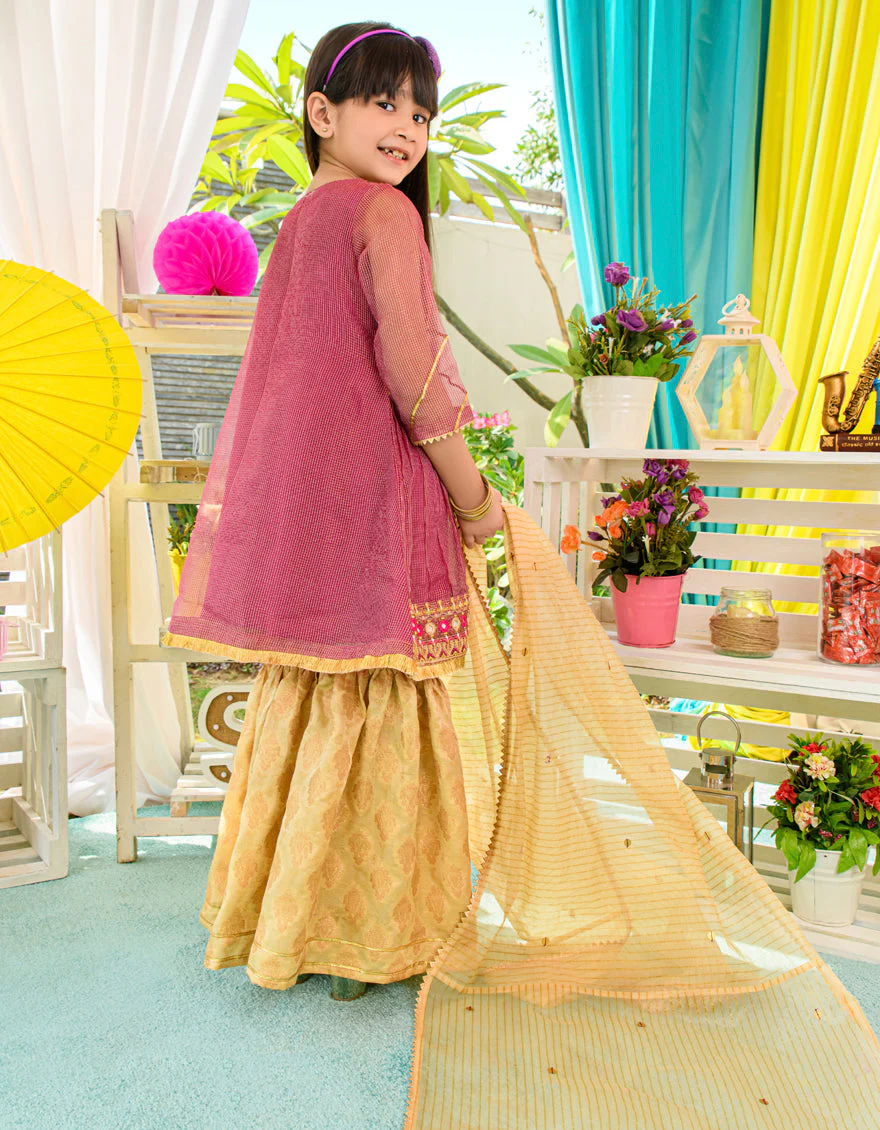 PLUM ZARI 3PC STITCHED | JGKL-S-JJGS-US-22-013 FB/FF-427 - Image 4