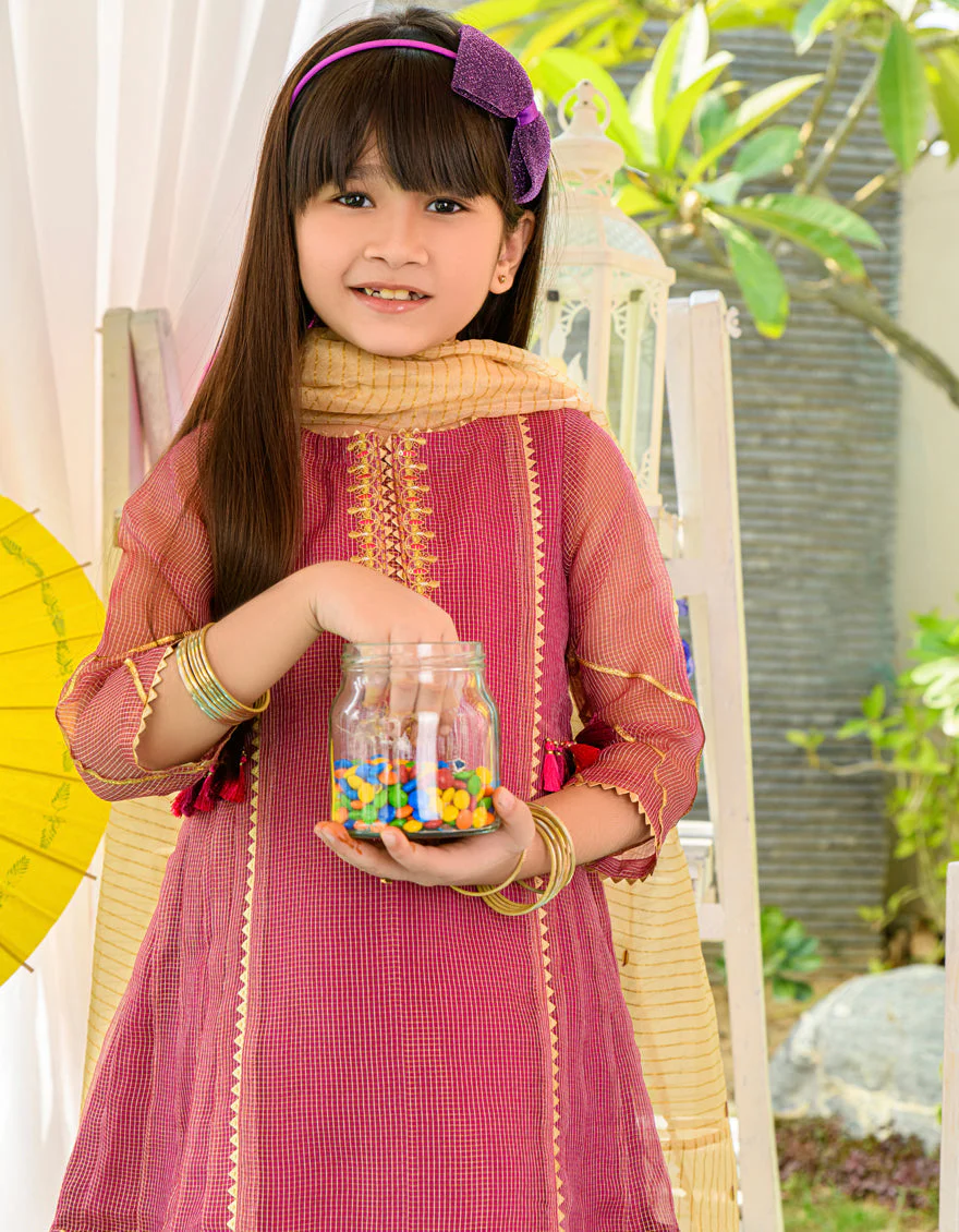 PLUM ZARI 3PC STITCHED | JGKL-S-JJGS-US-22-013 FB/FF-427 - Image 5
