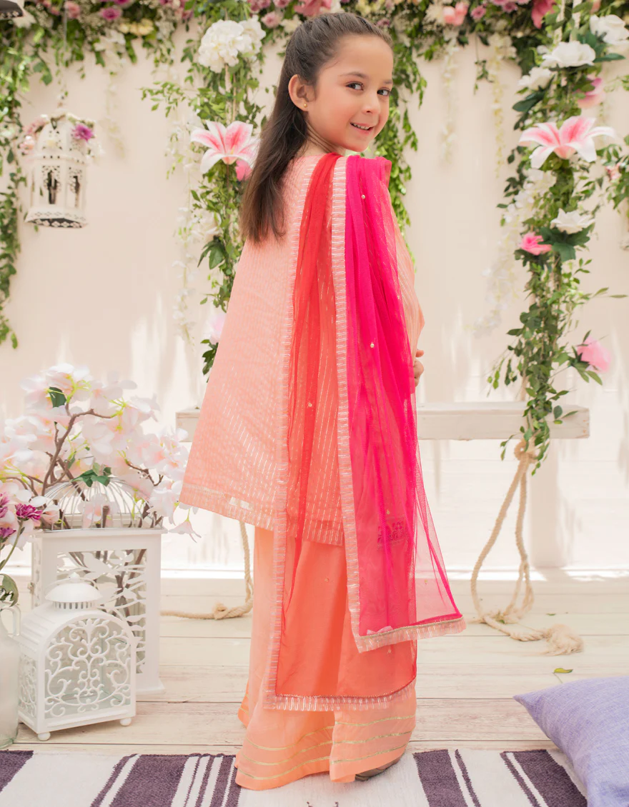 PEACH ZARI 3PC STITCHED | JGKL-S-JJGS-US-22-024 FB/FF-427 - Image 2