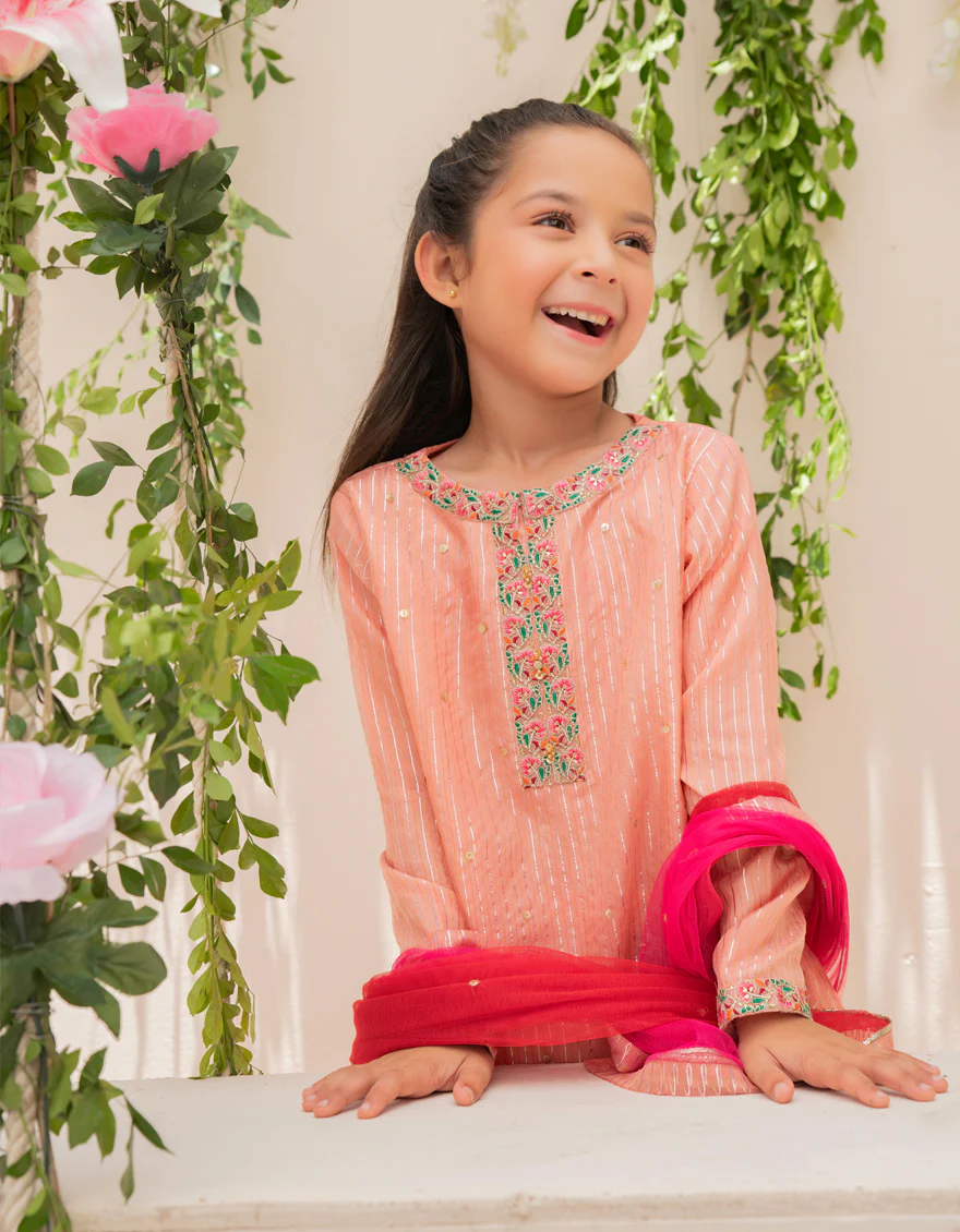 PEACH ZARI 3PC STITCHED | JGKL-S-JJGS-US-22-024 FB/FF-427 - Image 4