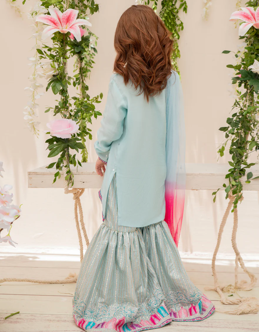 SKY BLUE VISCOSE 3PC STITCHED | JGKL-S-JJGS-US-22-025 FB/FF-272 - Image 2