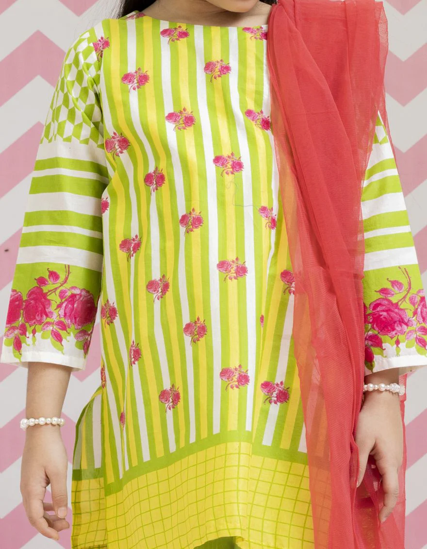 GREEN LAWN 3PC STITCHED | JGKL-S-US-22-1506 FB/STRIPES - Image 2