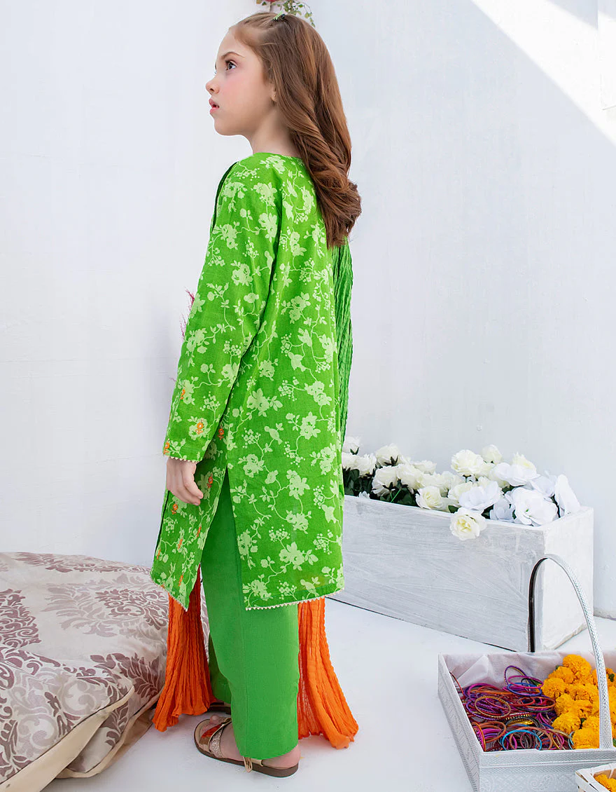 GREEN LAWN 3PC STITCHED | JGKL-S-US-22-1545 FB/BIRDEE CHINTZ - Image 4