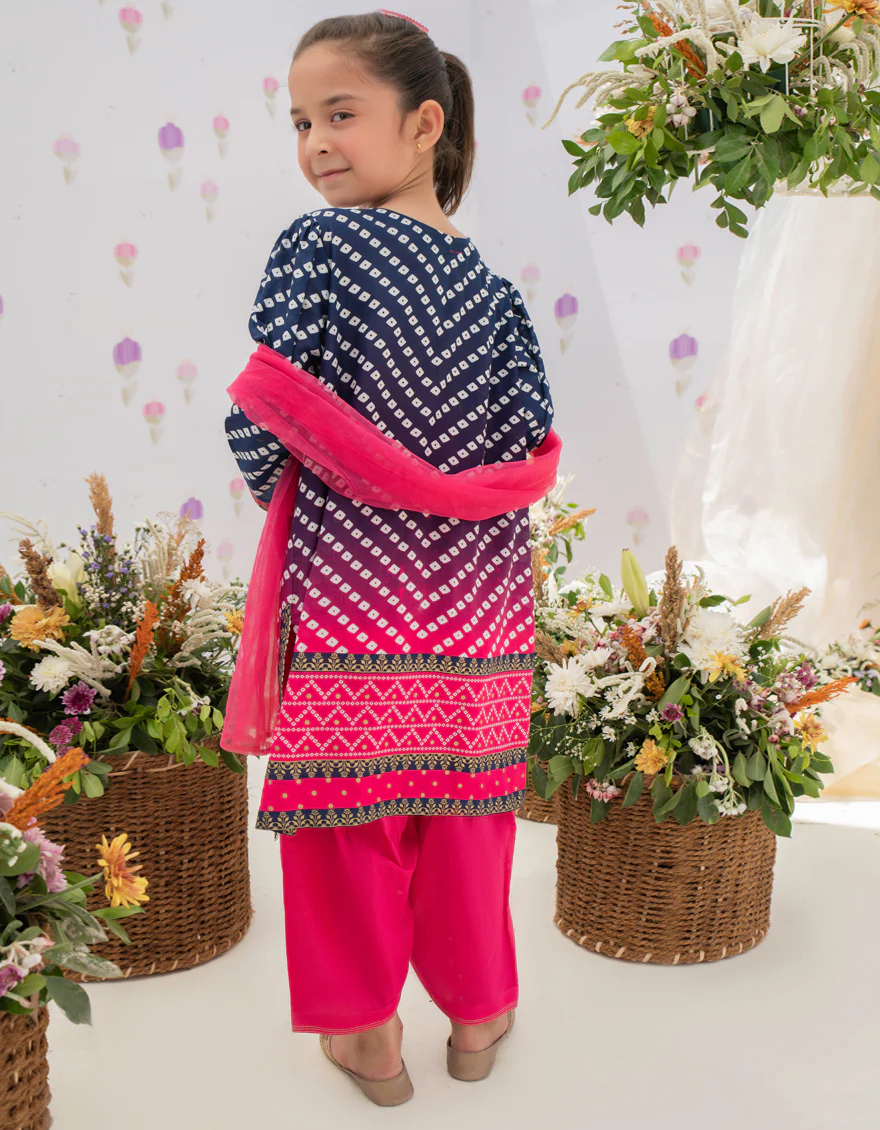 PINK-BLUE LAWN 3PC STITCHED | JGKL-S-US-22-1582 FB/ASIL - Image 3
