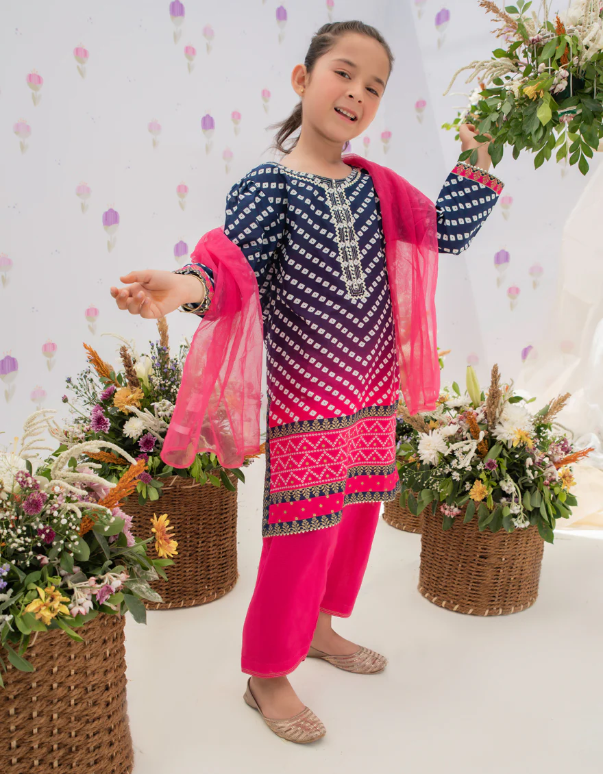 PINK-BLUE LAWN 3PC STITCHED | JGKL-S-US-22-1582 FB/ASIL - Image 4