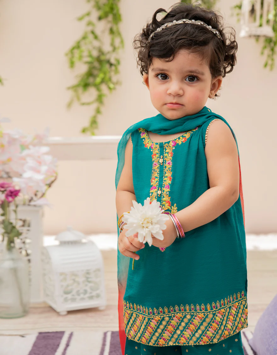 SEA GREEN KARANDI 2PC STITCHED | JIK-S-JGI2-US-22-033 FB/AM-2041 - Image 4
