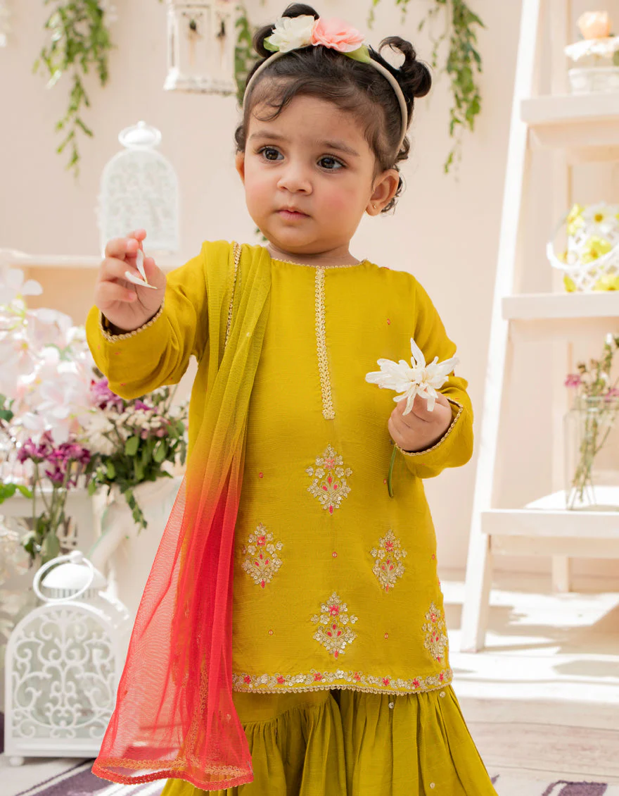 SEA GREEN KARANDI 3PC STITCHED | JIK-S-JGIN-US-22-034 FB/AM-2041 - Image 3