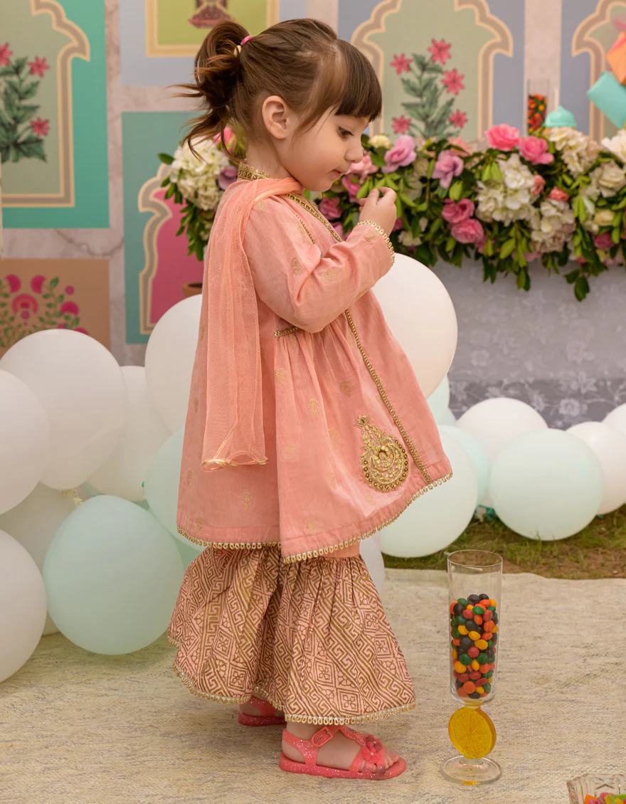 PEACH JACQUARD 3PC STITCHED | JIK-S-JGIN-US-23-039 FB/JT-885 - Image 2