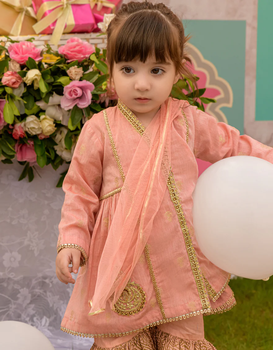 PEACH JACQUARD 3PC STITCHED | JIK-S-JGIN-US-23-039 FB/JT-885 - Image 3