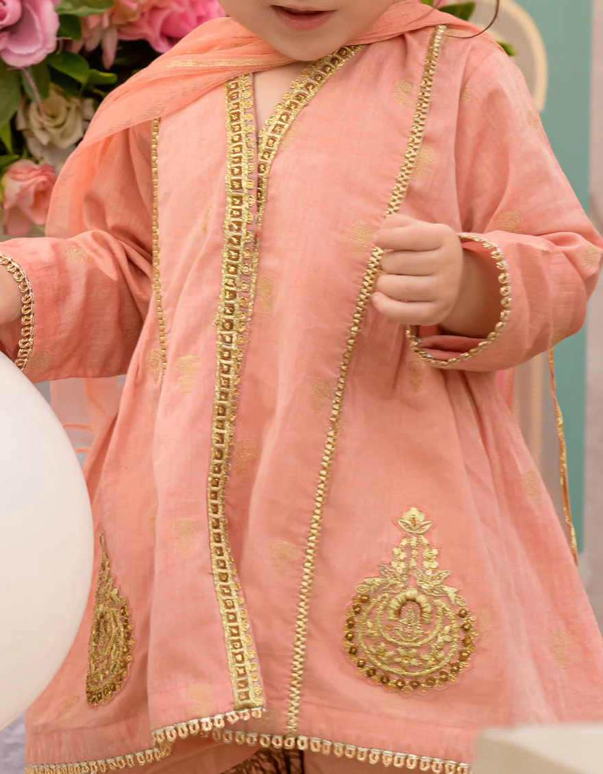 PEACH JACQUARD 3PC STITCHED | JIK-S-JGIN-US-23-039 FB/JT-885 - Image 4