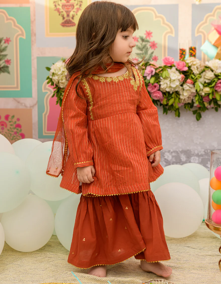 RUST ZARI 3PC STITCHED | JIK-S-JGIN-US-23-041 FB/ZARI CHECK - Image 2