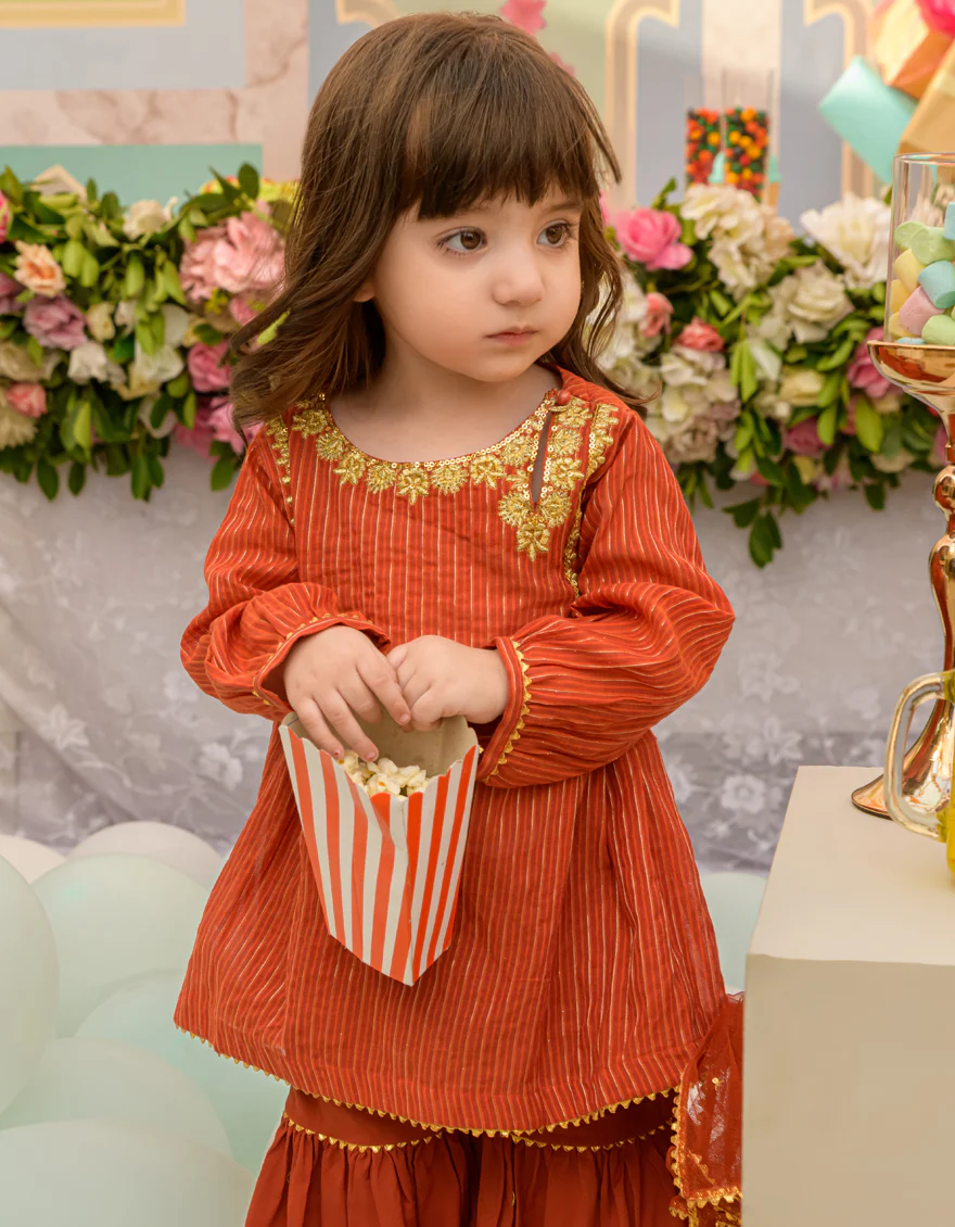 RUST ZARI 3PC STITCHED | JIK-S-JGIN-US-23-041 FB/ZARI CHECK - Image 3