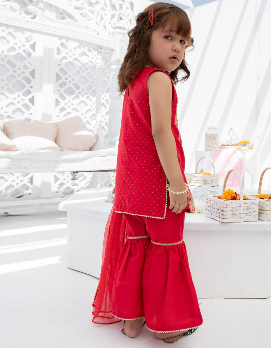 RED LAWN 3PC STITCHED | JIK-S-JGKL-US-22-1567 FB/IES-22-001 - Image 2