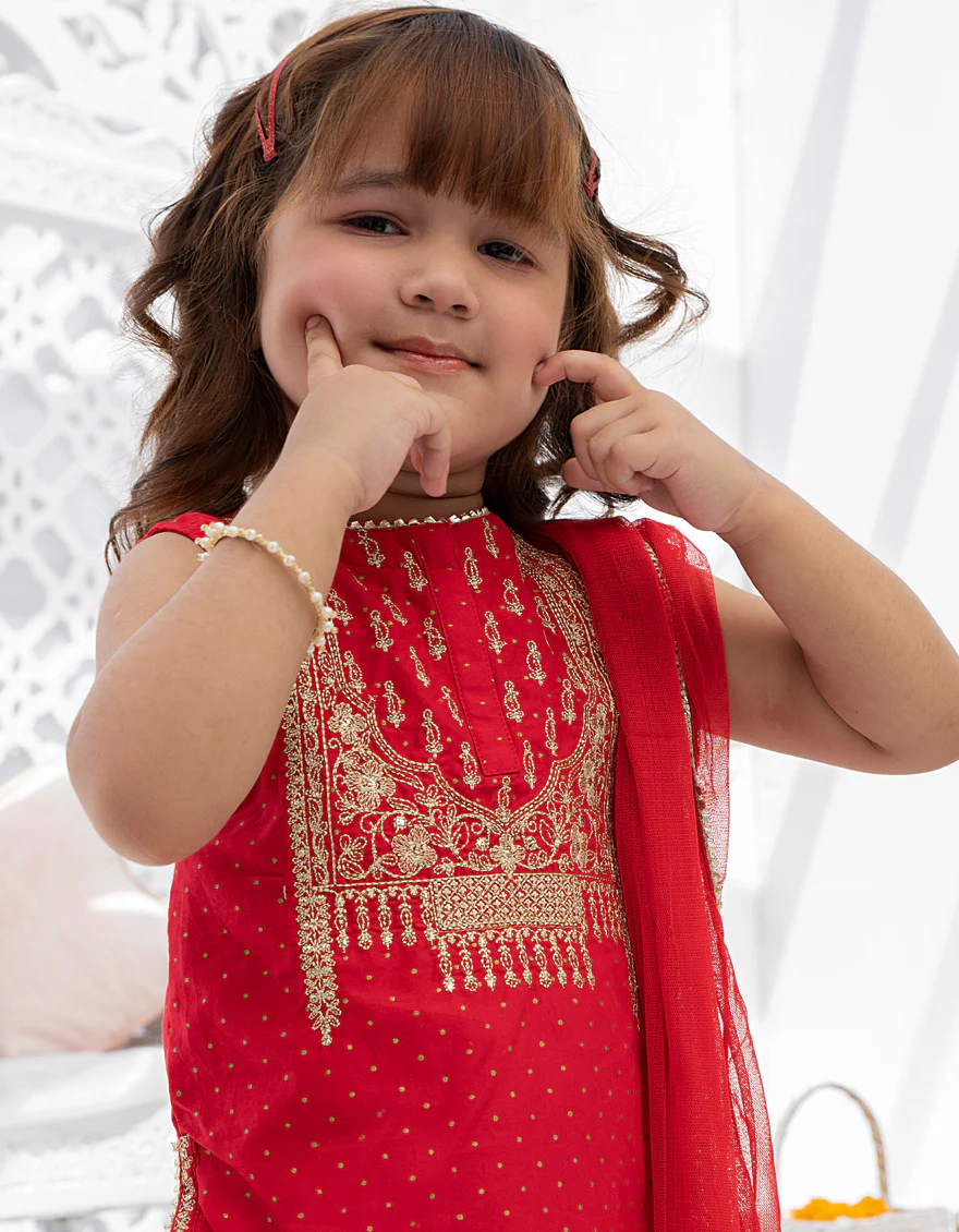 RED LAWN 3PC STITCHED | JIK-S-JGKL-US-22-1567 FB/IES-22-001 - Image 3