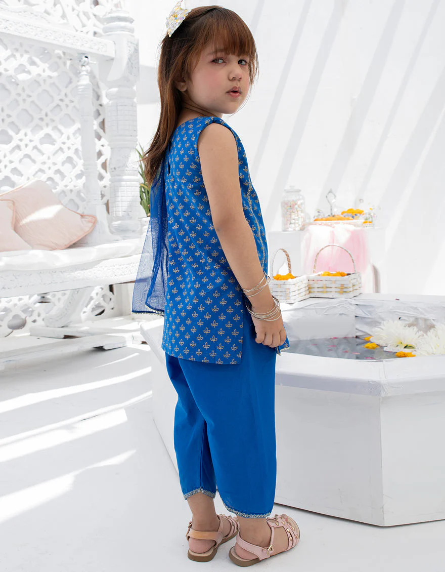 BLUE LAWN 3PC STITCHED | JIK-S-JGKL-US-22-1570 FB/IES-22-004 - Image 2