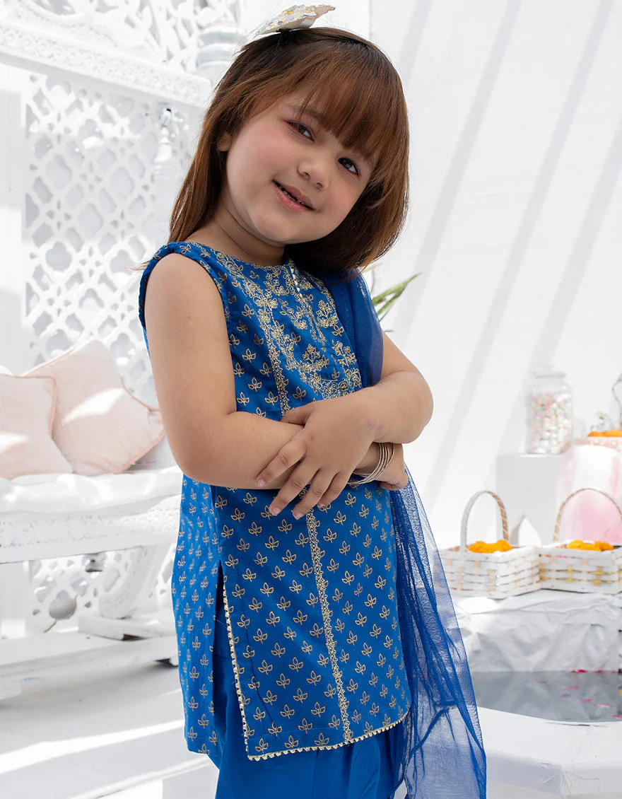 BLUE LAWN 3PC STITCHED | JIK-S-JGKL-US-22-1570 FB/IES-22-004 - Image 4