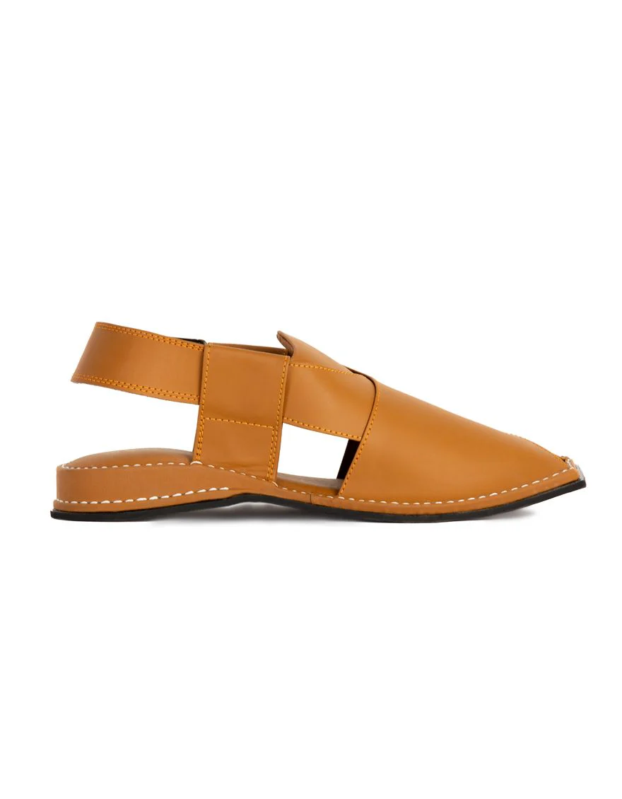 CAMEL PESHAWARI SANDALS | JJFW-JPC-US-028/S22-DP-ZU-PLN - Image 3