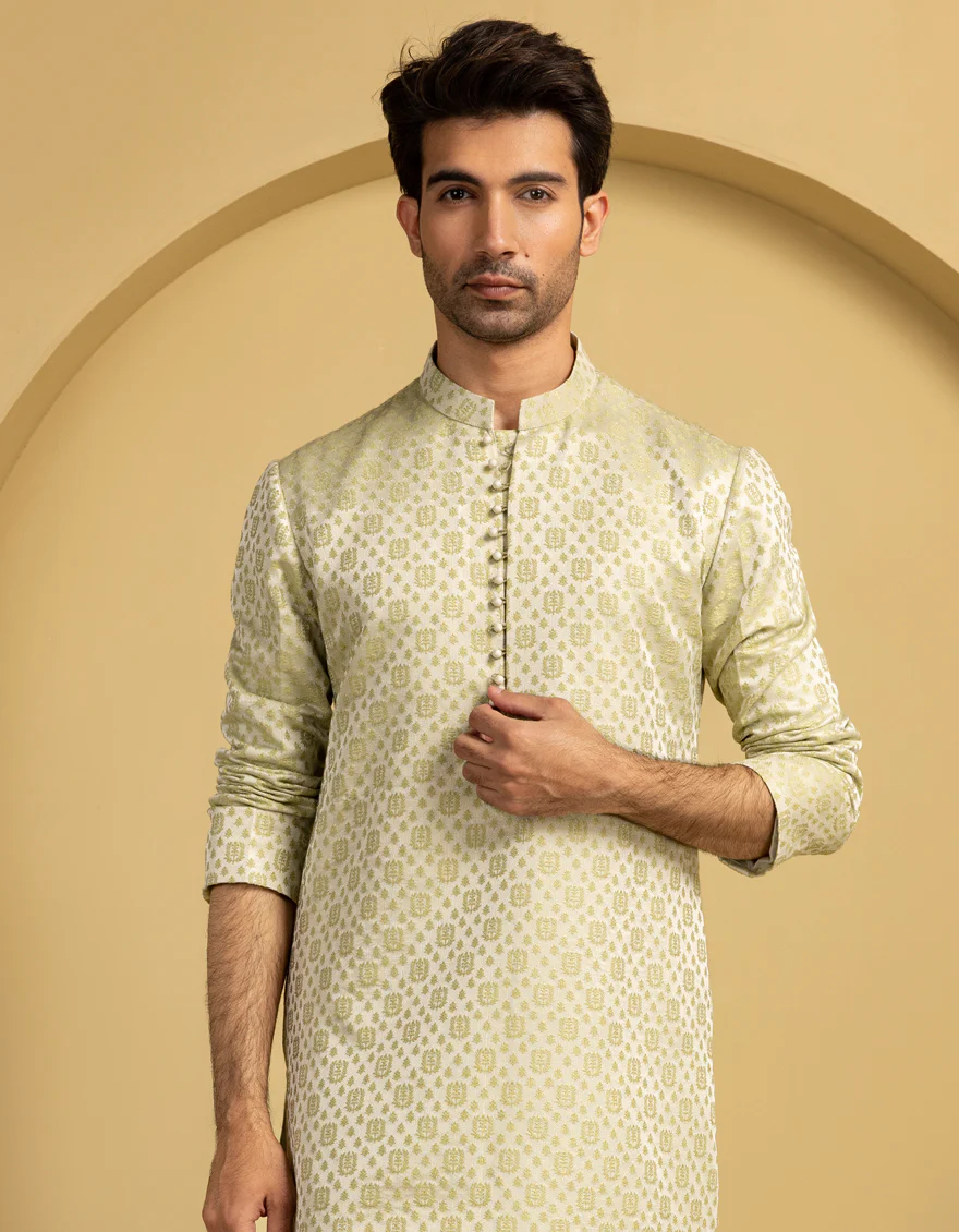 GRAPES BLENDED SPECIAL KURTA | JJK-SP-A-48209/S25/J - Image 2
