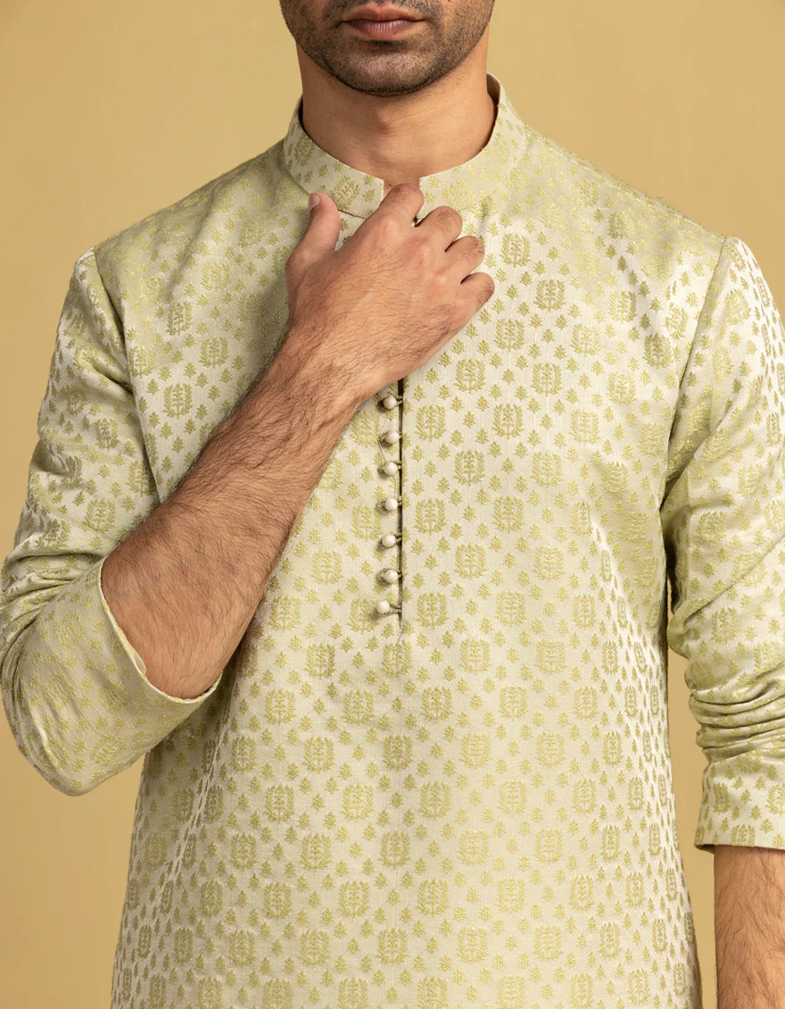 GRAPES BLENDED SPECIAL KURTA | JJK-SP-A-48209/S25/J - Image 4