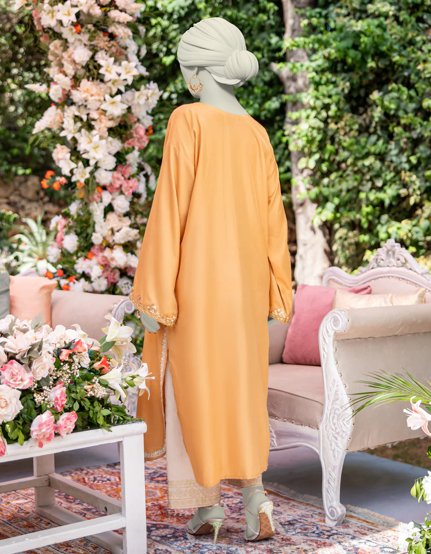 BROWN KHADDI KURTI | JJLK-W-JWS-24-3021 FB/ELFESYA-6 - Image 2
