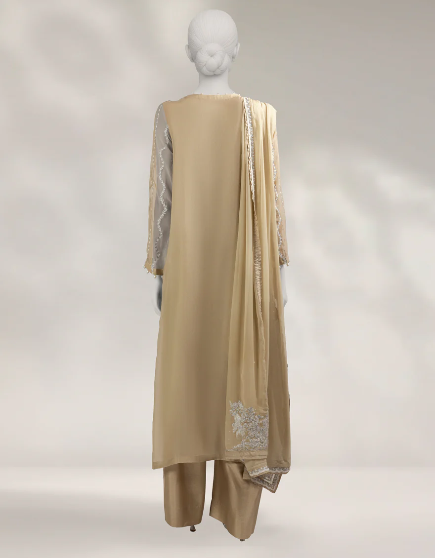 BEIGE CHIFFON 3PC UNSTITCHED | JJLS-S-JFU-25-712 FB/FALAK-4 - Image 2