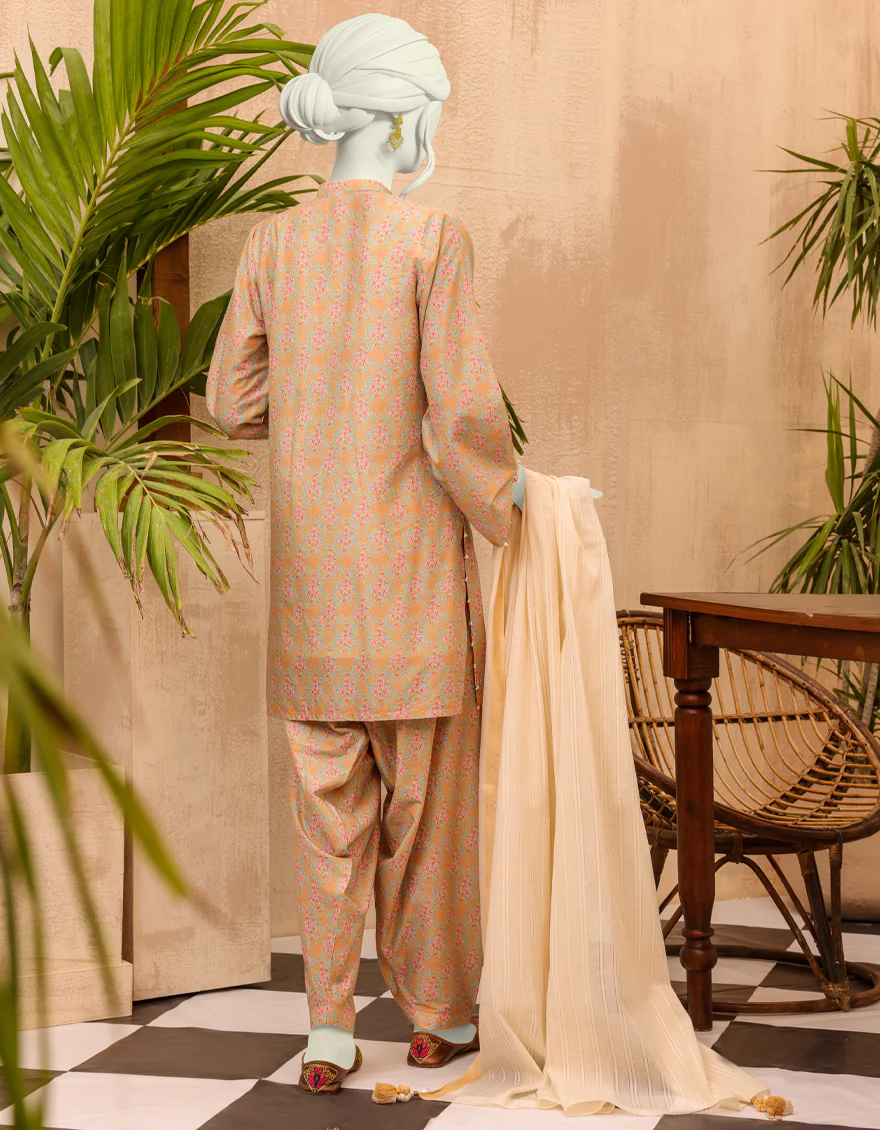 MULTICOLOR LAWN 3PC UNSTITCHED | JJLS-S-JPW-US-22-011 FB/LAOISE - Image 2