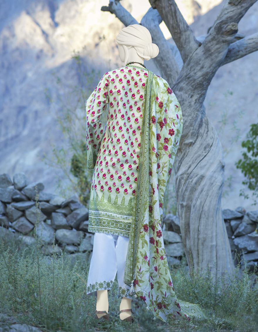 GREEN CAMBRIC 3PC UNSTITCHED | JJLS-W-JW-US-21-1756 FB/AURA - Image 3