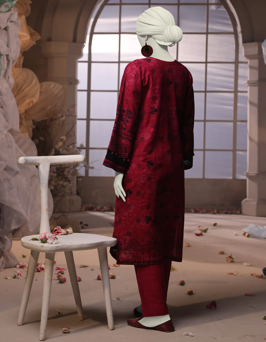 MULTICOLOR KHADDAR 2PC UNSTITCHED | JJLS-W-JW2-24-2030 FB/LACE PATTERNS-2 - Image 2