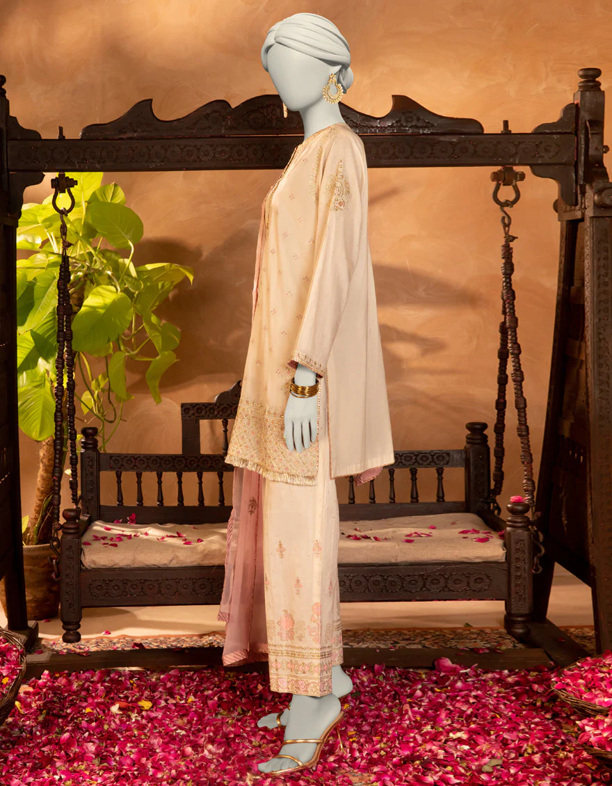 OFF WHITE RAW SILK 3PC STITCHED | JJPW-S-JPS-25-3902 FB/DANEEN-2 - Image 2