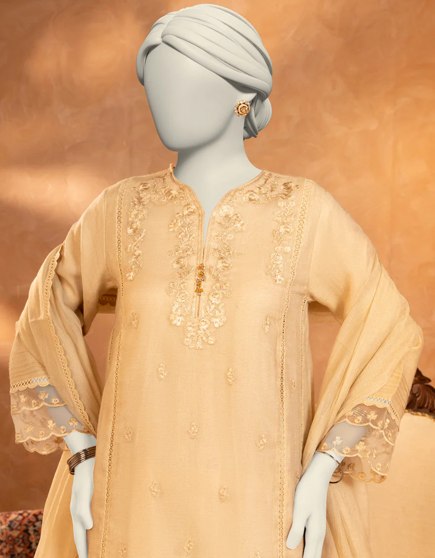 BEIGE KHADDI 3PC STITCHED | JJPW-S-JPS-25-3912 FB/DANEEN-12 - Image 3