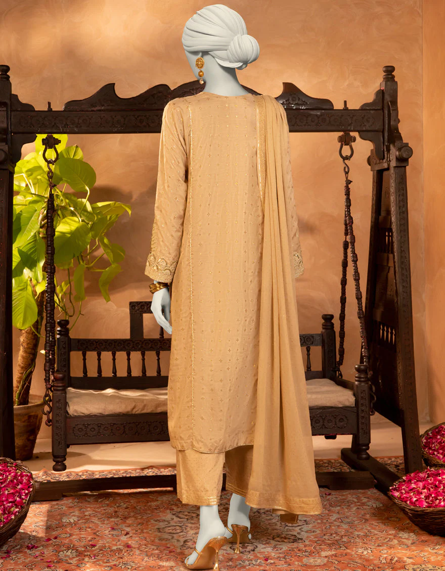 BEIGE RAW SILK 3PC STITCHED | JJPW-S-JPS-25-3918 FB/INARA-04 - Image 2