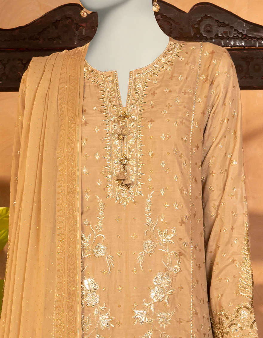 BEIGE RAW SILK 3PC STITCHED | JJPW-S-JPS-25-3918 FB/INARA-04 - Image 3