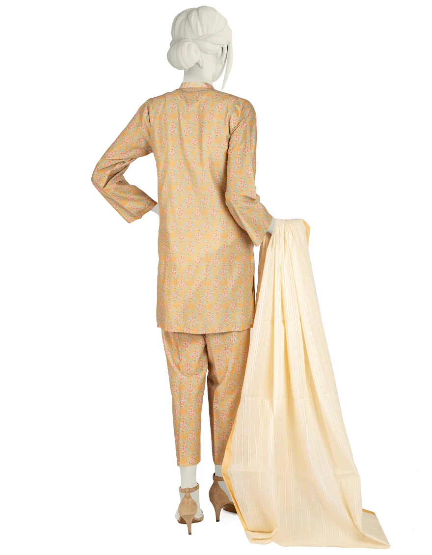 MULTICOLOR LAWN 3PC STITCHED | JJPW-S-JPW-US-22-011 FB/LAOISE - Image 2