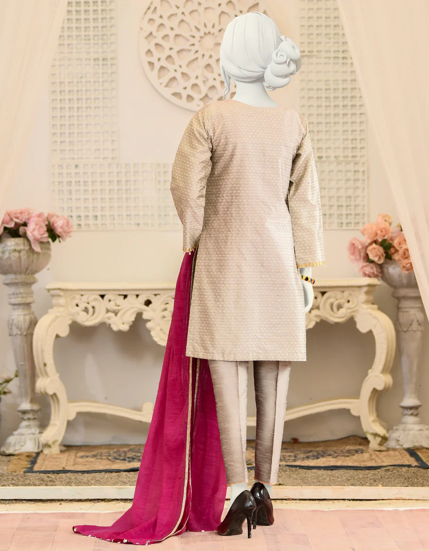 GREY RAW SILK 2PC STITCHED | JJPW-S-JPW2-US-22-044 FB/FF-386 - Image 2