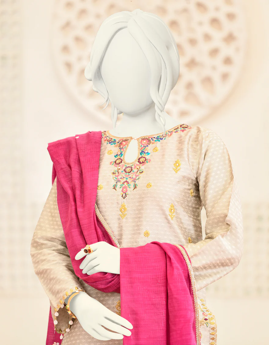 GREY RAW SILK 2PC STITCHED | JJPW-S-JPW2-US-22-044 FB/FF-386 - Image 3
