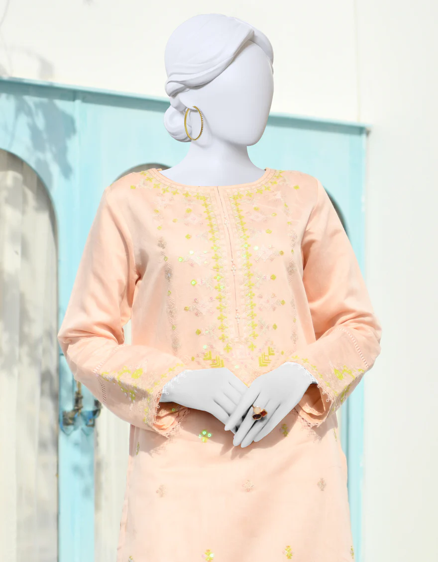 PEACH ZARI 2PC STITCHED | JJPW-S-JPW2-US-23-929 FB/ZARI NET - Image 3
